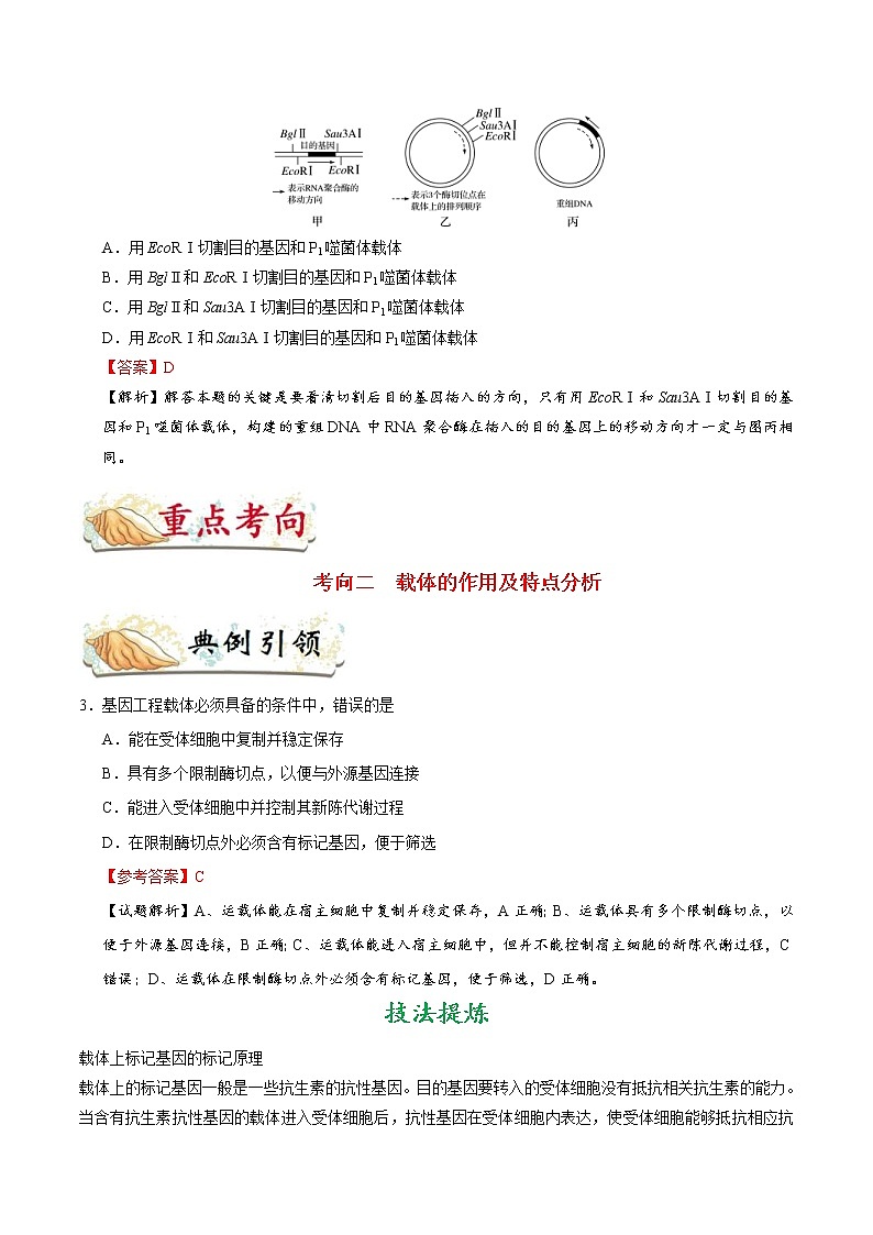 高考生物一轮复习考点一遍过考点79 基因工程（一）(含解析) 试卷03