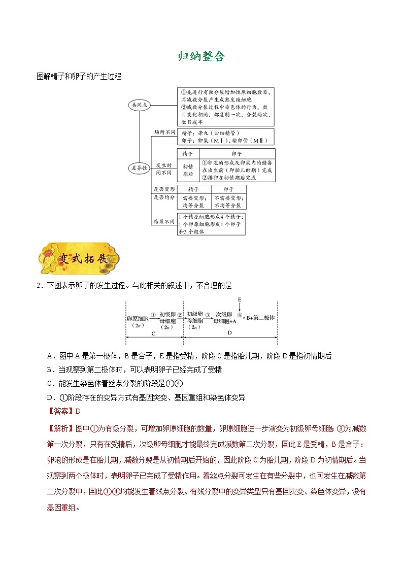 高考生物一轮复习考点一遍过考点85 胚胎工程（一）(含解析)第3页