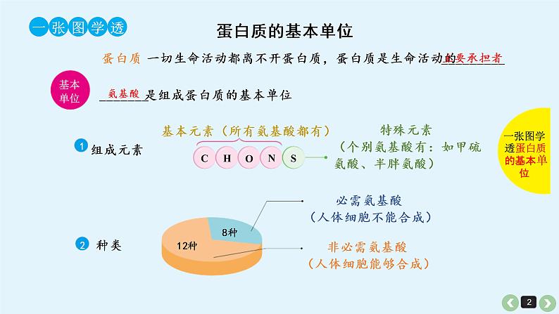 (通用版)高考生物一轮复习课件：第2课-蛋白质(含解析)第2页