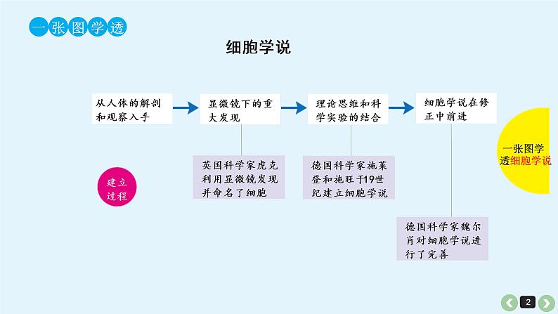 (通用版)高考生物一轮复习课件：第5课-细胞学说的建立、真核细胞和原核细胞的比较(含解析)02