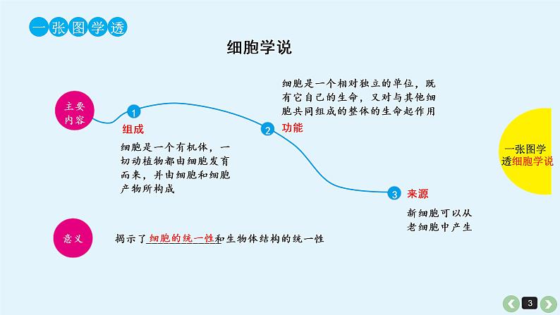 (通用版)高考生物一轮复习课件：第5课-细胞学说的建立、真核细胞和原核细胞的比较(含解析)03