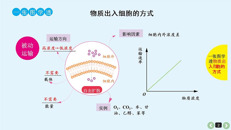 (通用版)高考生物一轮复习课件：第9课-细胞的物质输入和输出(含解析)第2页