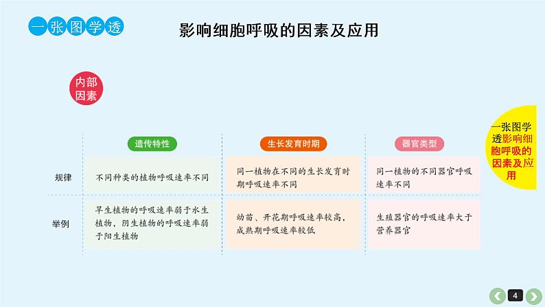(通用版)高考生物一轮复习课件：第12课-呼吸作用(含解析)第4页