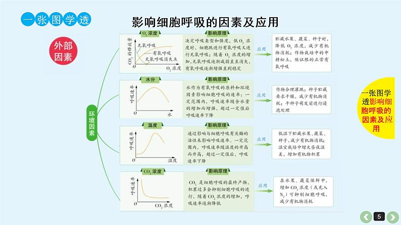 (通用版)高考生物一轮复习课件：第12课-呼吸作用(含解析)第5页