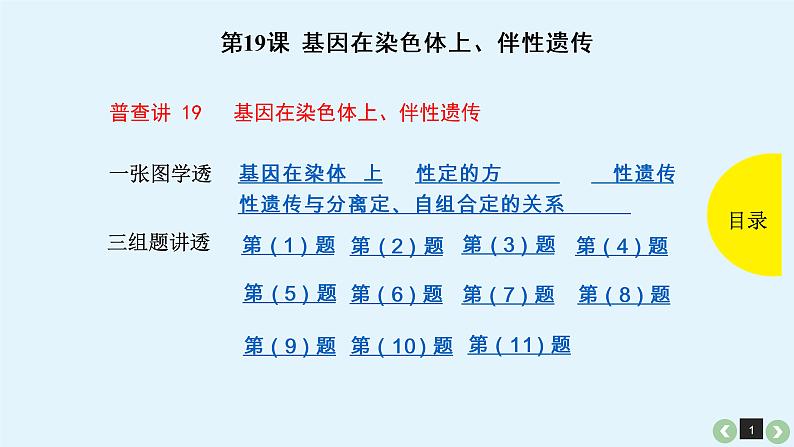 (通用版)高考生物一轮复习课件：第19课-基因在染色体上、伴性遗传(含解析)第1页