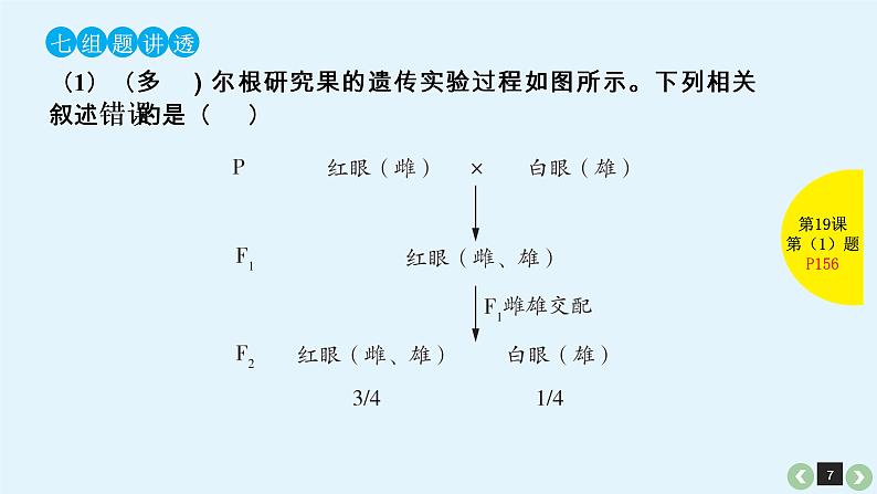 (通用版)高考生物一轮复习课件：第19课-基因在染色体上、伴性遗传(含解析)第7页