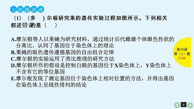 (通用版)高考生物一轮复习课件：第19课-基因在染色体上、伴性遗传(含解析)第8页