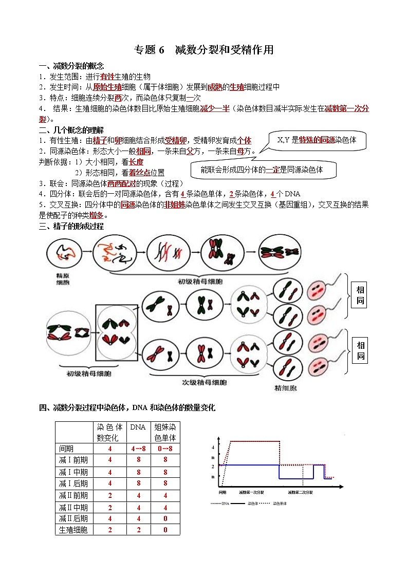 高考生物一轮复习知识清单：06减数分裂和受精作用第1页
