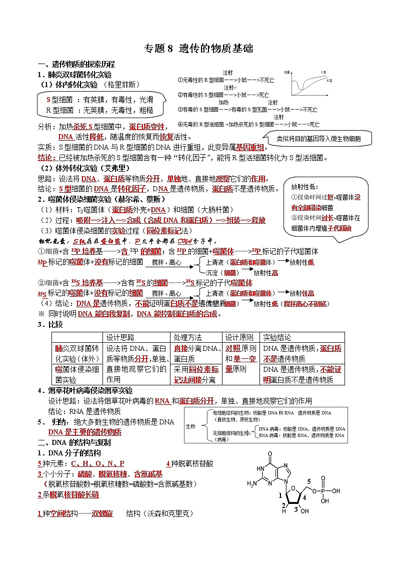 高考生物一轮复习知识清单：08遗传的物质基础第1页