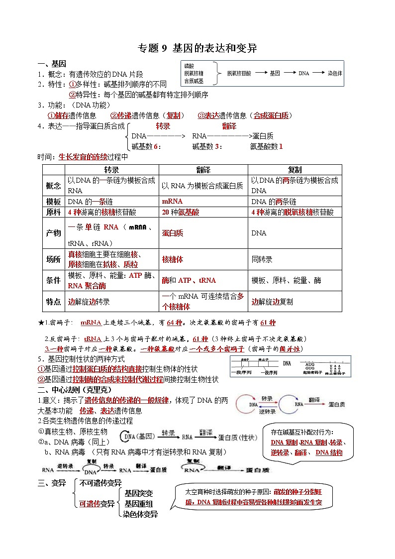 高考生物一轮复习知识清单：09基因表达和变异第1页