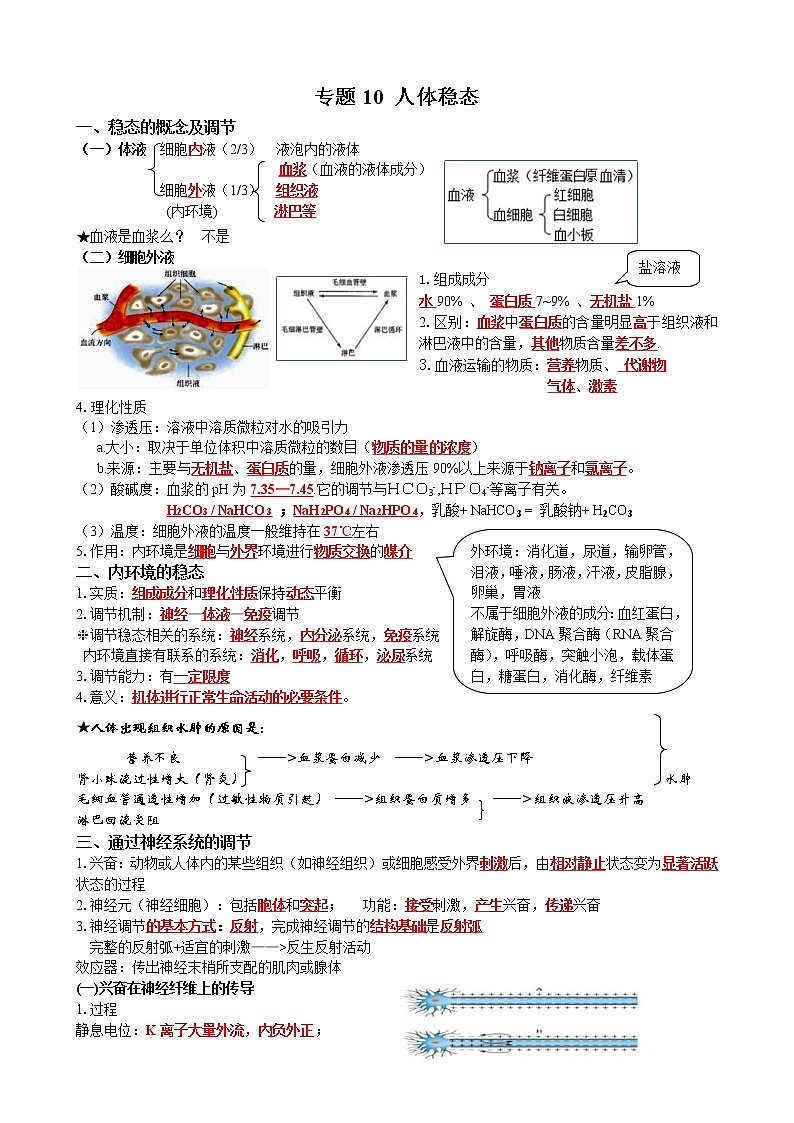 高考生物一轮复习知识清单：10人体稳态第1页