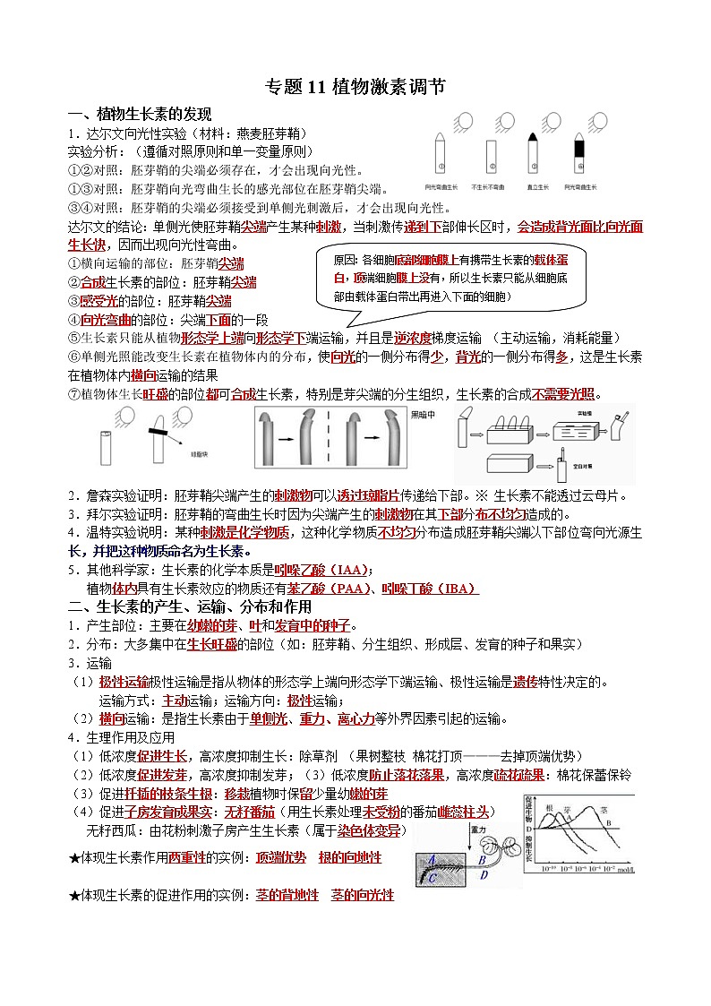高考生物一轮复习知识清单：11植物激素调节第1页