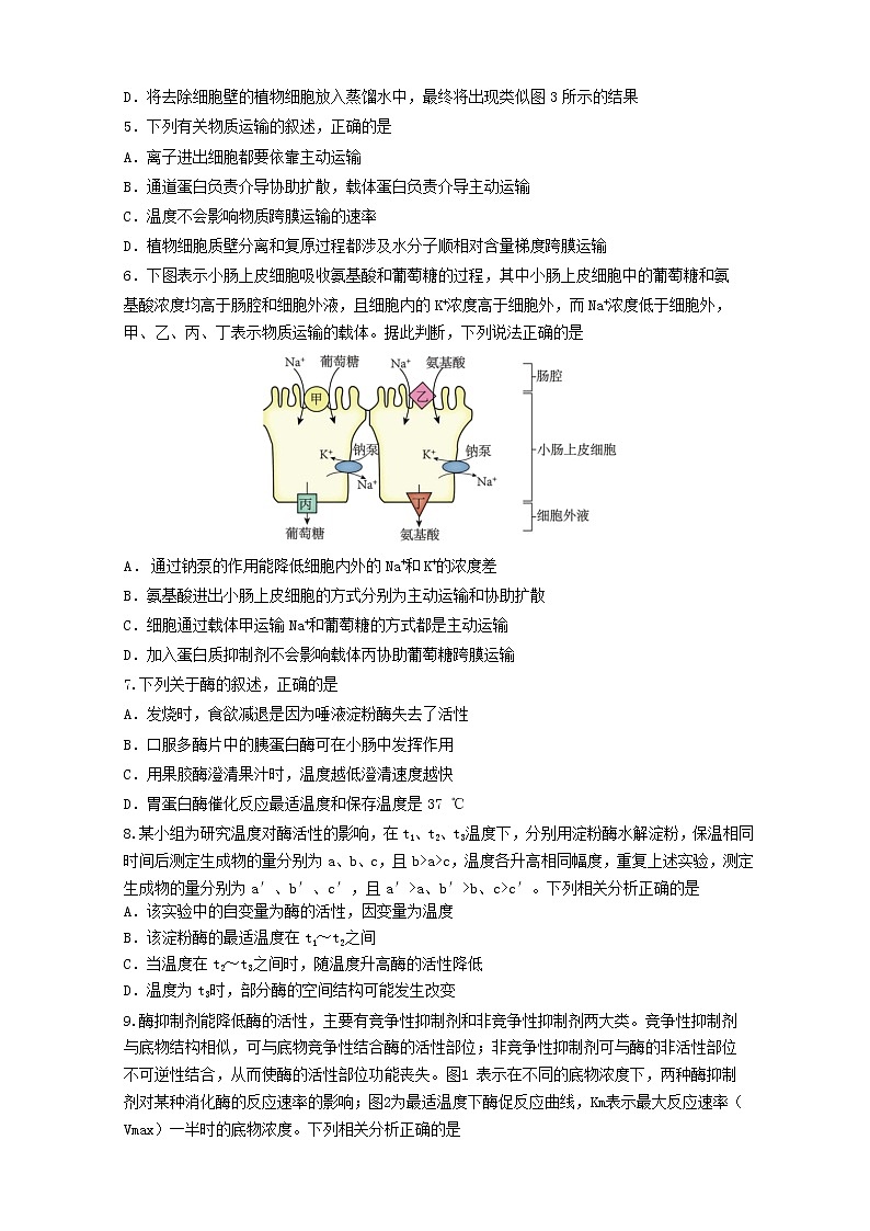 辽宁省沈阳市第二中学2022-2023学年高一上学期12月月考生物试题无答案第2页