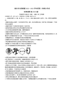 2023重庆市名校联盟高一上学期第二次联合考试生物试题含答案