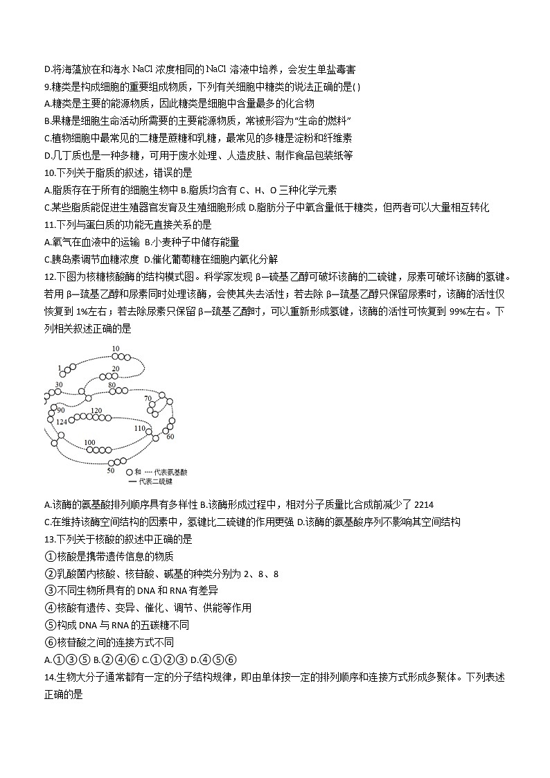 2023重庆市名校联盟高一上学期第二次联合考试生物试题含答案03