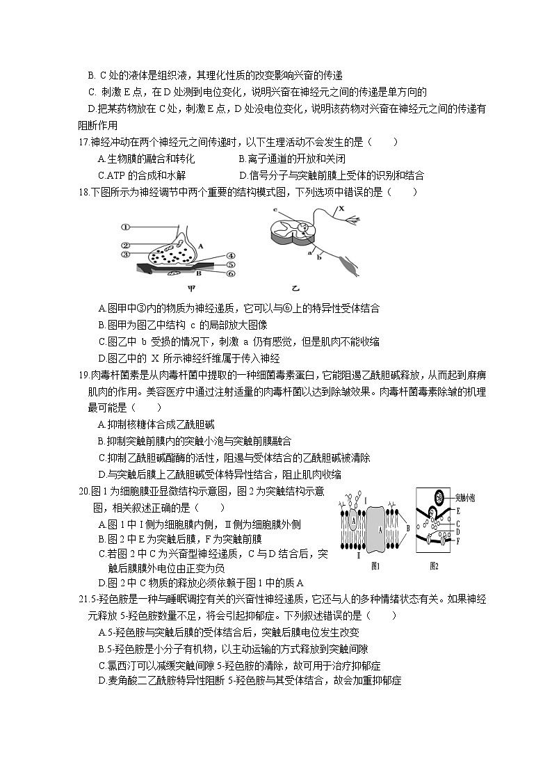2022-2023学年北京市首都师范大学附属密云中学高二上学期10月阶段性练习生物试题含答案03