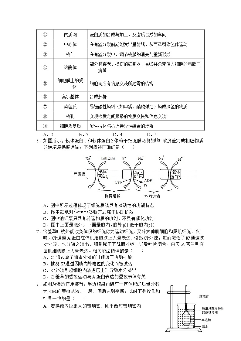 安徽省六安第一中学2022-2023学年高三生物上学期第四次月考试题（Word版附解析）02