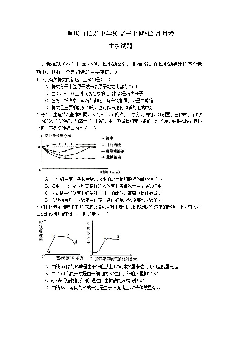 重庆市长寿中学2022-2023学年高三生物上学期12月月考试题（Word版附解析）第1页