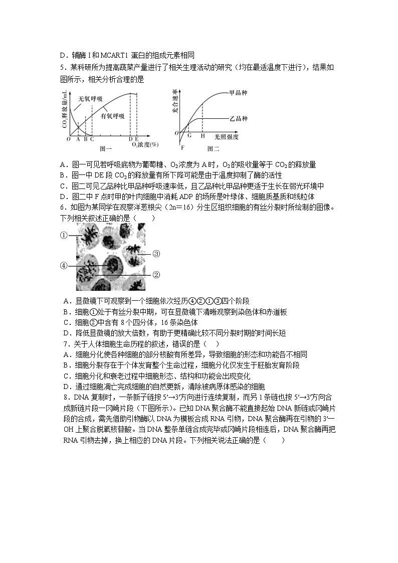 江苏省盐城市四校2022-2023学年高三生物上学期12月联考试题（Word版附答案）02