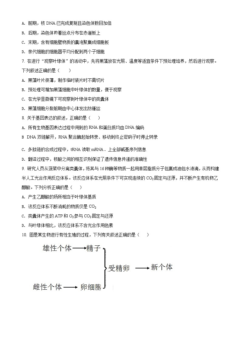2022太原高三上学期期末考试生物试题含解析02