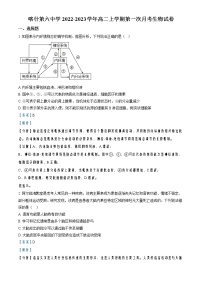 2022-2023学年新疆维吾尔自治区喀什第六中学高二上学期第一次月考生物试题含解析