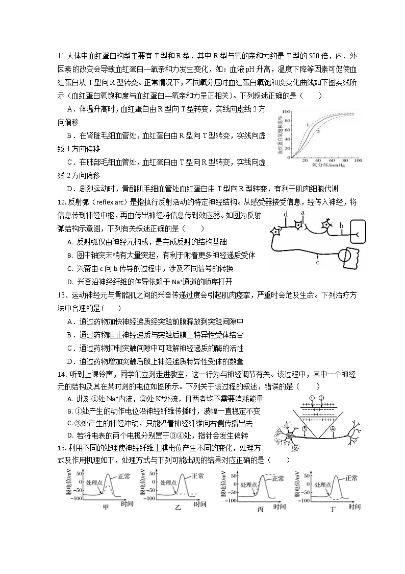 2022-2023学年湖北省石首市第一中学高二上学期10月月考生物试题含答案03