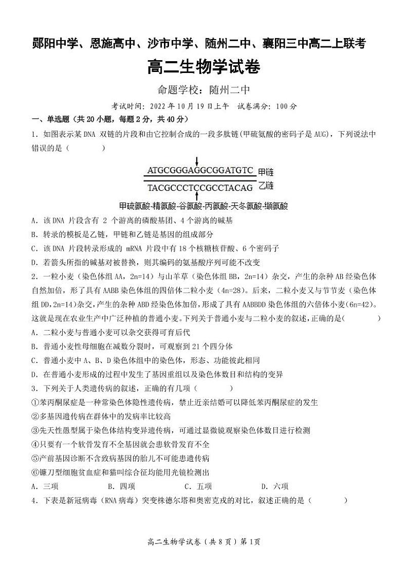 2022-2023学年湖北省五校（郧阳中学、恩施高中、沙市中学、随州二中、襄阳三中）高二上学期10月联考试题生物pdf第1页