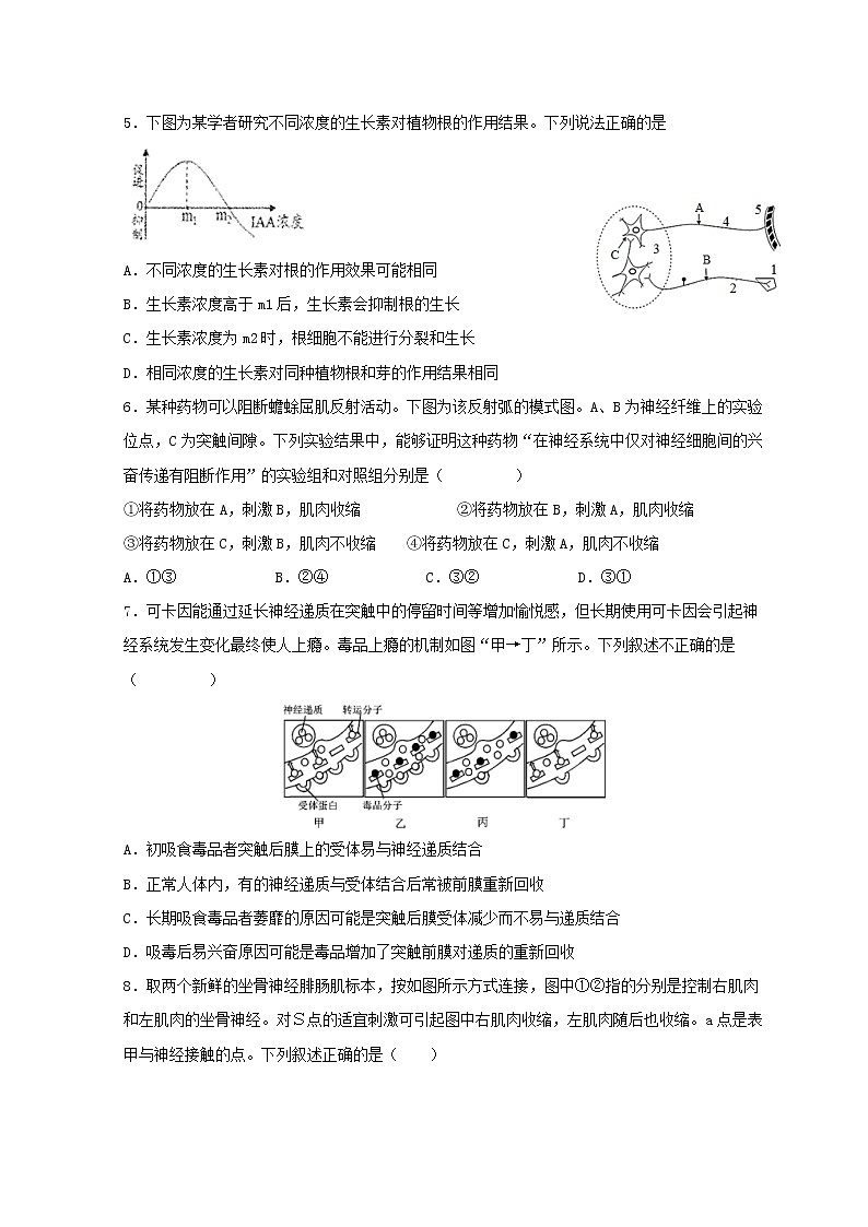 2022-2023学年江苏省南通市海安高级中学高二上学期第一次月考试题生物Word版含答案02