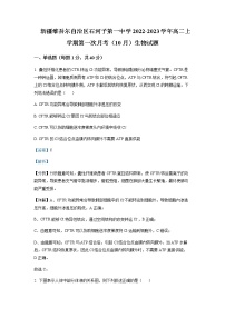 2022-2023学年新疆维吾尔自治区石河子第一中学高二上学期第一次月考（10月）生物试题含解析