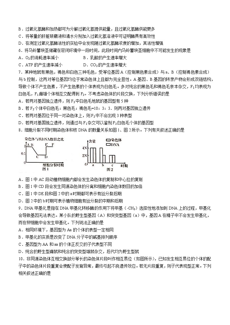 辽宁省葫芦岛市协作校2022-2023学年高三生物上学期第二次考试试题（Word版附答案）02
