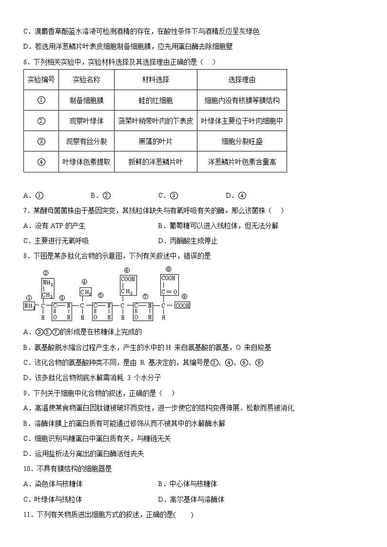 重庆市西南大学附属中学校2022-2023学年高一生物上学期12月月考试题（Word版附答案）02