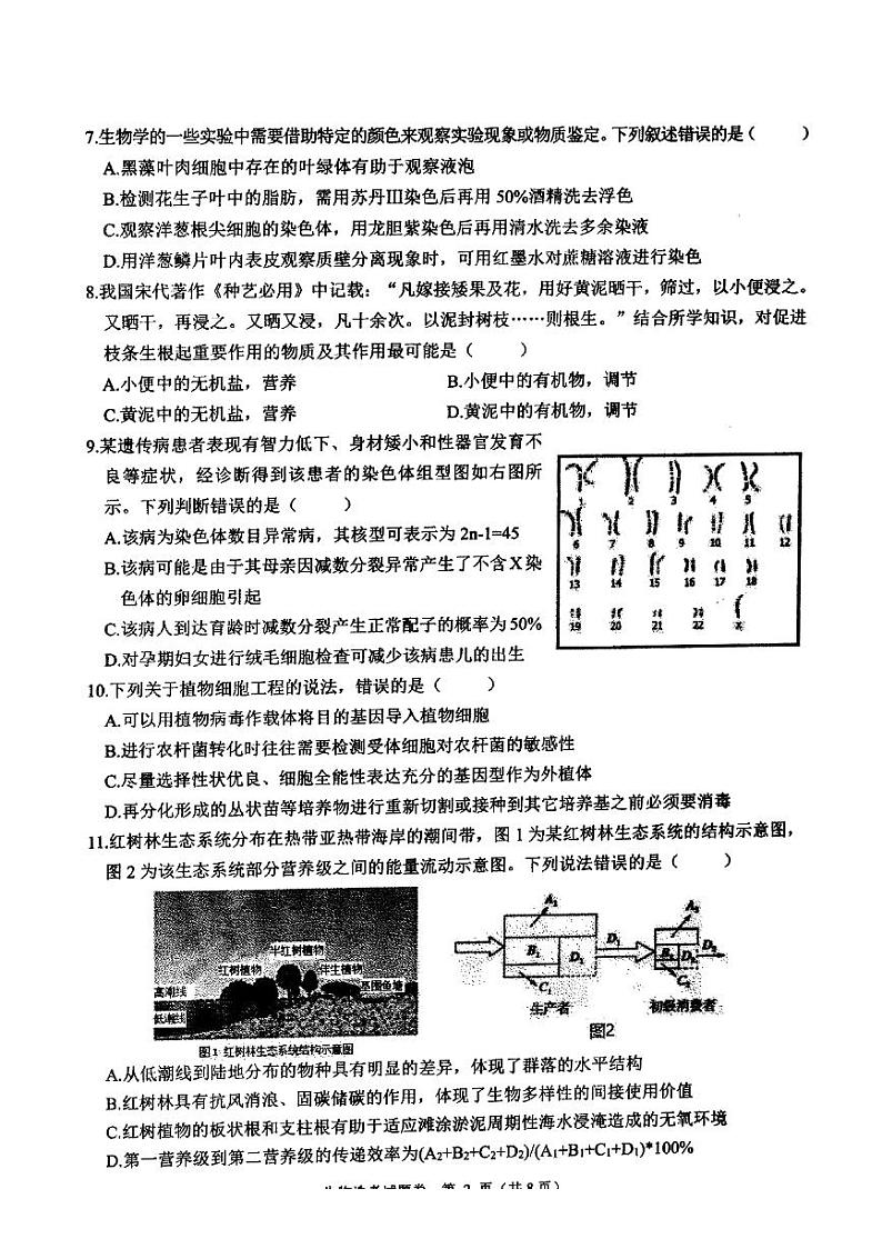 2023浙江省稽阳联谊学校高三上学期11月期中联考试题生物PDF版含解析（选考）02
