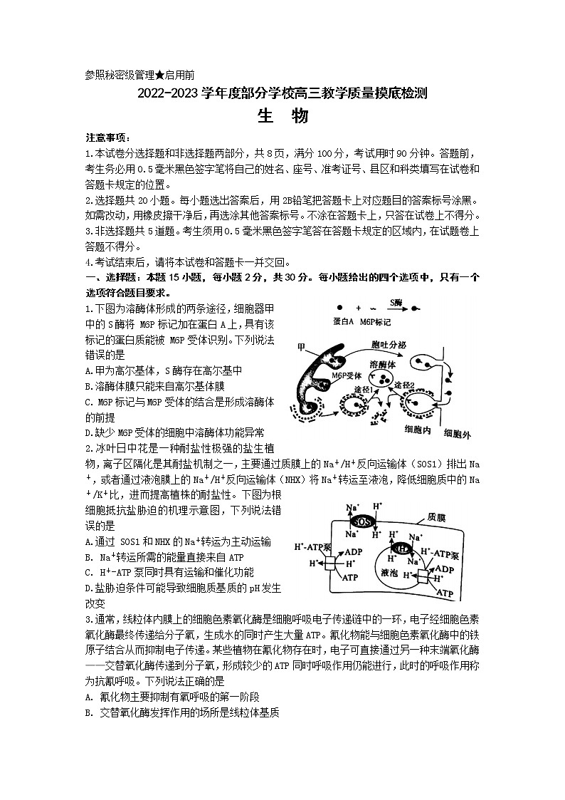 2023淄博部分学校高三上学期12月摸底考试生物含答案第1页