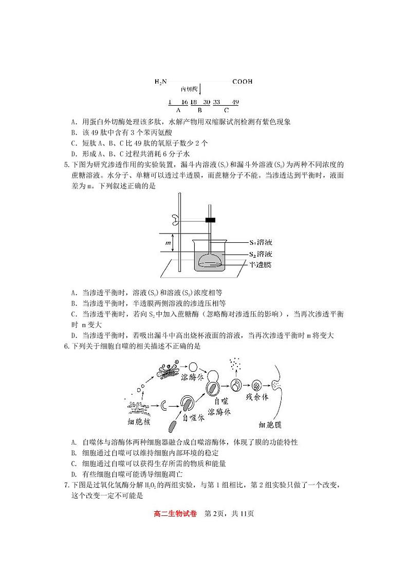 2023重庆市巴蜀中学高二上学期期中考试生物PDF版无答案（可编辑）第2页