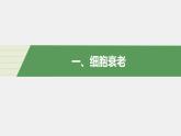 6.3 细胞的衰老和死亡-【探究课堂】2021-2022学年高一生物同步精品课件（人教版2019必修1）