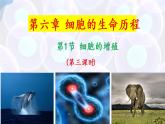 6.1 细胞的增殖（第三课时）-【探究课堂】2022-2023学年高一生物上学期同步优质课件（人教版2019必修1）(1)