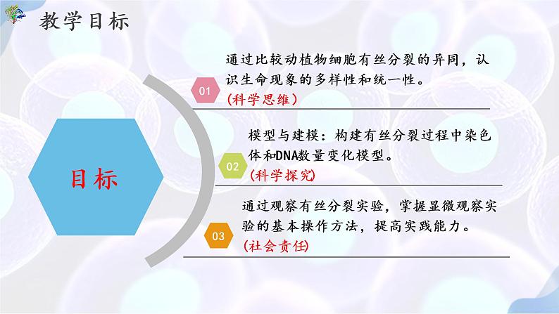 6.1 细胞的增殖（第三课时）-【探究课堂】2022-2023学年高一生物上学期同步优质课件（人教版2019必修1）(1)02