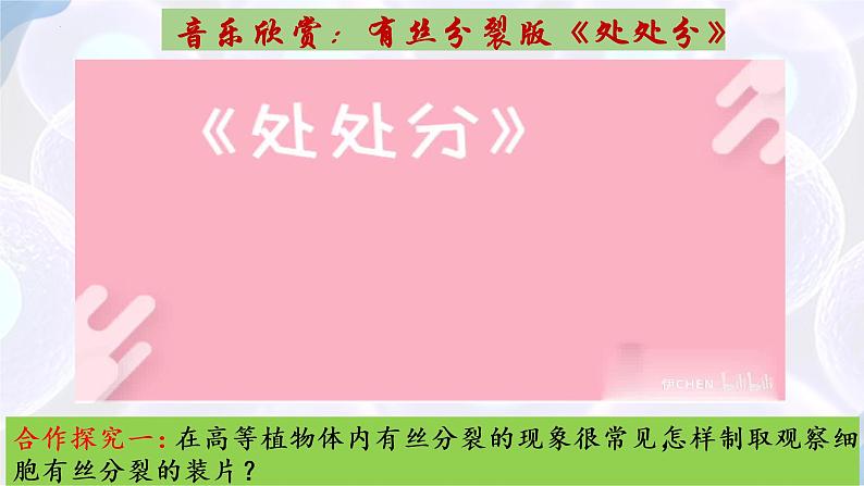 6.1 细胞的增殖（第三课时）-【探究课堂】2022-2023学年高一生物上学期同步优质课件（人教版2019必修1）(1)03