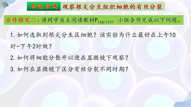 6.1 细胞的增殖（第三课时）-【探究课堂】2022-2023学年高一生物上学期同步优质课件（人教版2019必修1）(1)04