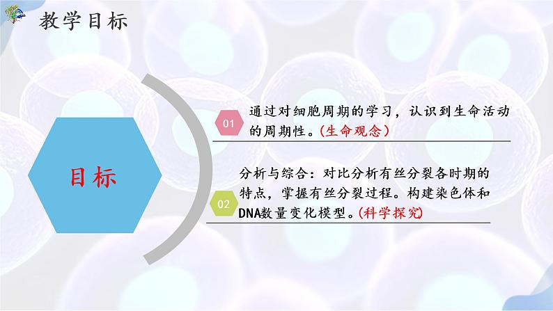 6.1 细胞的增殖（第一课时）-【探究课堂】2022-2023学年高一生物上学期同步优质课件（人教版2019必修1）(1)02