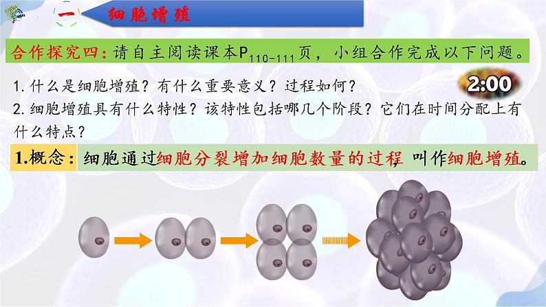 6.1 细胞的增殖（第一课时）-【探究课堂】2022-2023学年高一生物上学期同步优质课件（人教版2019必修1）(1)06