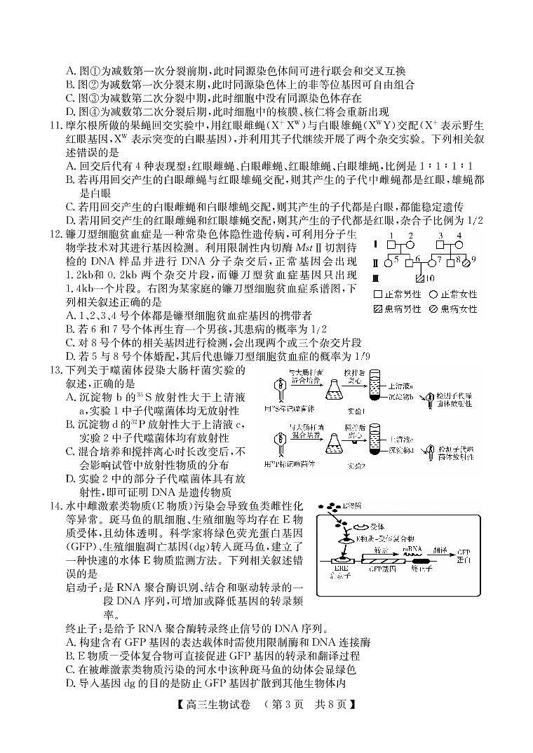 河南省TOP二十名校2022-2023学年高三生物上学期12月调研试卷（PDF版附解析）第3页