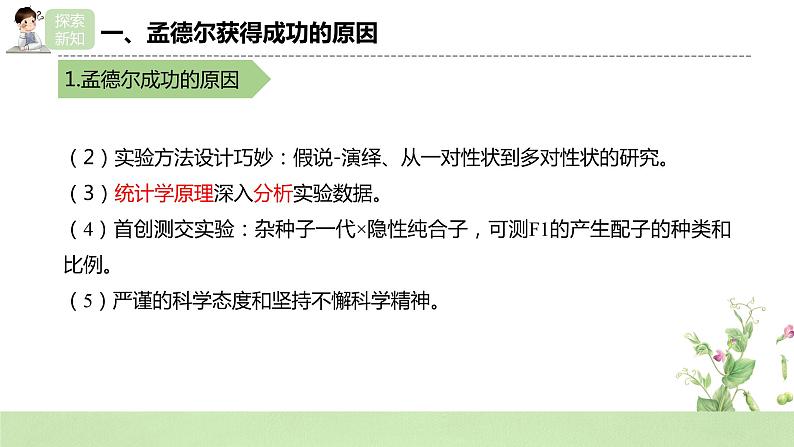 2019人教版高中生物必修二1.2.2《孟德尔的豌豆杂交实验（二）》课件第7页