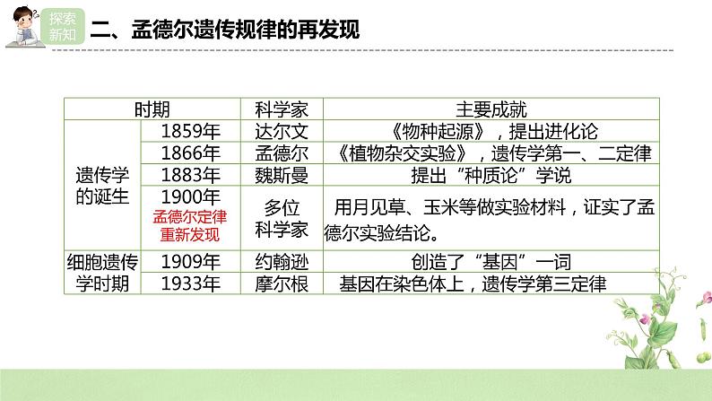 2019人教版高中生物必修二1.2.2《孟德尔的豌豆杂交实验（二）》课件第8页