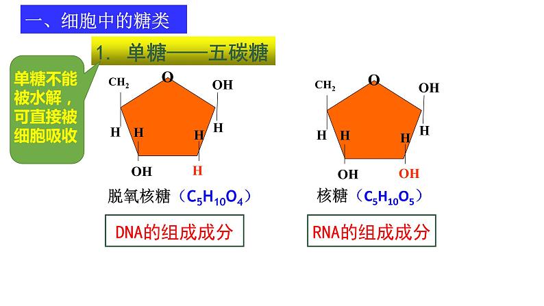 2.3细胞中的糖类和脂质课件2022-2023学年高一上学期生物人教版必修1第5页