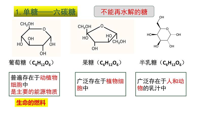 2.3细胞中的糖类和脂质课件2022-2023学年高一上学期生物人教版必修1第6页