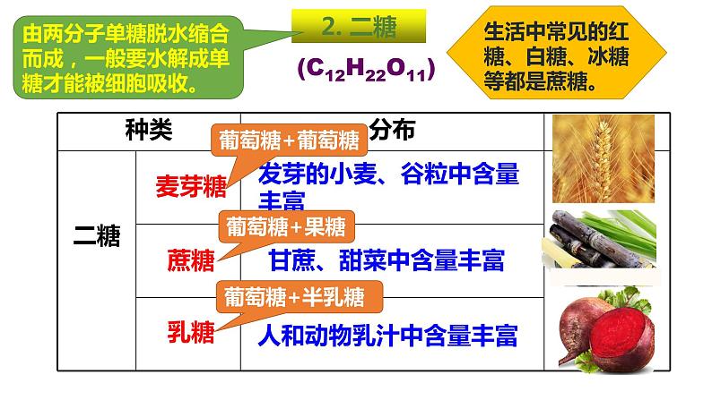 2.3细胞中的糖类和脂质课件2022-2023学年高一上学期生物人教版必修1第8页