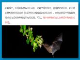 2.1群落的结构（第4课时）课件2022-2023学年高二上学期生物人教版选择性必修2