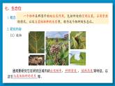 2.1群落的结构（第4课时）课件2022-2023学年高二上学期生物人教版选择性必修2