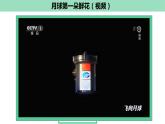 3.1生态系统的结构第1课时课件2022-2023学年高二上学期生物人教版选择性必修2